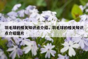 羽毛球的相关知识点介绍，羽毛球的相关知识点介绍图片