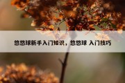 悠悠球新手入门知识，悠悠球 入门技巧