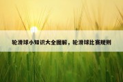 轮滑球小知识大全图解，轮滑球比赛规则