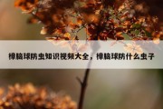 樟脑球防虫知识视频大全，樟脑球防什么虫子