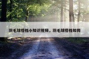 羽毛球搭档小知识视频，羽毛球搭档如同