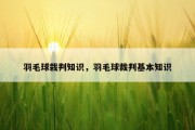 羽毛球栽判知识，羽毛球裁判基本知识
