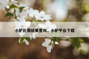 小驴比赛结果查询，小驴平台下载