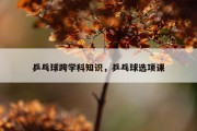 乒乓球跨学科知识，乒乓球选项课