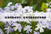 轮滑球基本知识，轮滑球基本知识有哪些