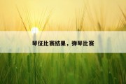 琴征比赛结果，弹琴比赛