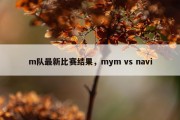 m队最新比赛结果，mym vs navi