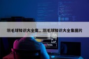 羽毛球知识大全集，羽毛球知识大全集图片