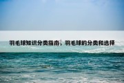 羽毛球知识分类指南，羽毛球的分类和选择