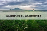 仙人球养护小知识，仙人球的养护要点