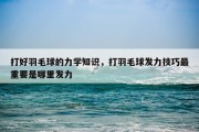 打好羽毛球的力学知识，打羽毛球发力技巧最重要是哪里发力
