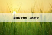 球服知识大全，球服款式