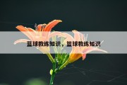 蓝球教练知识，篮球教练知识