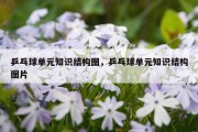 乒乓球单元知识结构图，乒乓球单元知识结构图片
