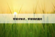 学球冷知识，学球球的图片
