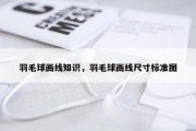 羽毛球画线知识，羽毛球画线尺寸标准图
