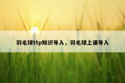 羽毛球ttp知识导入，羽毛球上课导入