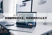 刺球植物知识大全，刺球植物叫什么名字