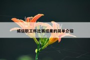 威信职工杯比赛结果的简单介绍