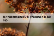 打乒乓球的腿部知识，打乒乓球腿动不起来怎么办