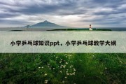 小学乒乓球知识ppt，小学乒乓球教学大纲