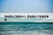 羽毛球入门知识txt，羽毛球入门与进阶课程