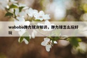 waboba弹力球冷知识，弹力球怎么玩好玩