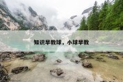 知识早教球，小球早教