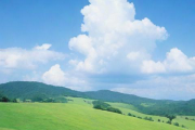 1999年8月23日生辰八字，1999年8月23日生辰八字用神