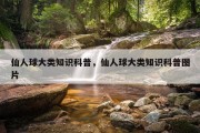 仙人球大类知识科普，仙人球大类知识科普图片
