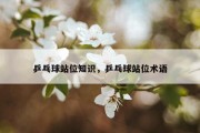乒乓球站位知识，乒乓球站位术语