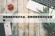 茶梅球修剪知识大全，茶梅球修剪知识大全视频