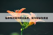 轴承知识深沟球全品类，深沟球轴承用途
