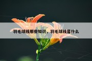 羽毛球线那些知识，羽毛球线是什么