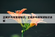 正规乒乓球发球知识，正规乒乓球发球知识讲解