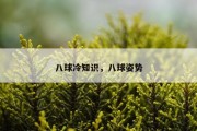 八球冷知识，八球姿势