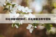 羽毛球握球的知识，羽毛球握法教学视频