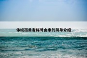 体坛孤勇者称号由来的简单介绍