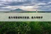 柔力球基础知识背面，柔力球教学