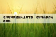 毛球球知识视频大全集下载，毛球球的制作方法图解