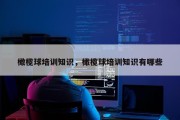 橄榄球培训知识，橄榄球培训知识有哪些