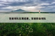 甘肃球队比赛结果，甘肃职业球队