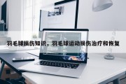 羽毛球损伤知识，羽毛球运动损伤治疗和恢复