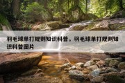 羽毛球单打规则知识科普，羽毛球单打规则知识科普图片