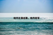晓丹比赛结果，晓丹冠军