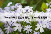 下一位体坛巨星名单图片，下一个球王是谁