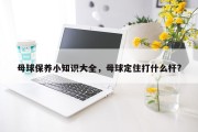 母球保养小知识大全，母球定住打什么杆?