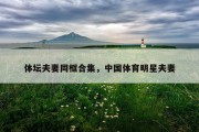 体坛夫妻同框合集，中国体育明星夫妻