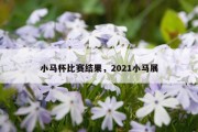 小马杯比赛结果，2021小马展