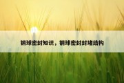 钢球密封知识，钢球密封封堵结构